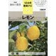 レモン(NHK趣味の園芸 12か月栽培ナビ〈21〉) [全集叢書]