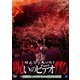 ほんとにあった!呪いのビデオ110 [DVD]