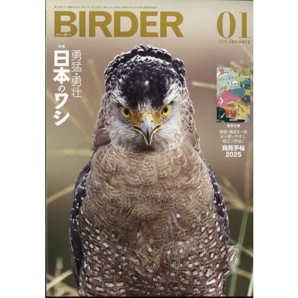 BIRDER (バーダー) 2025年 01月号 [雑誌]