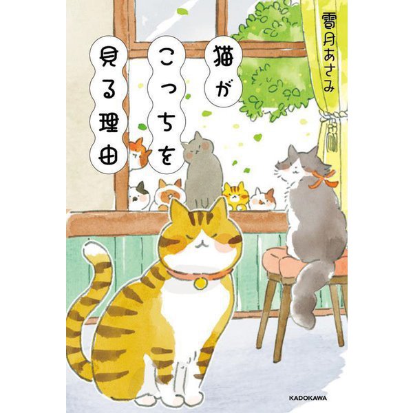 猫がこっちを見る理由 [単行本]