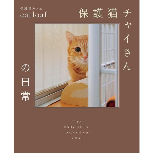 保護猫チャイさんの日常 [単行本]