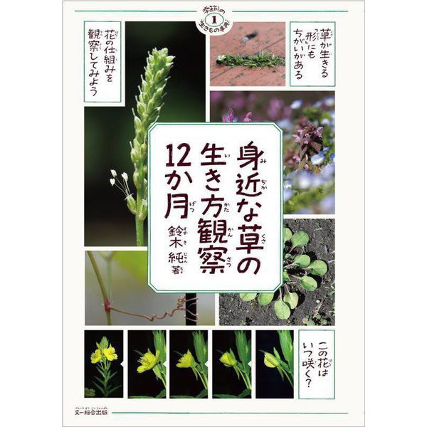 身近な草の生き方観察12か月(季節の生きもの事典〈1〉) [単行本]