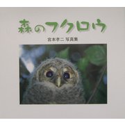 森のフクロウ―宮本孝二写真集 [単行本]