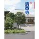 清泰寺（さいたま） 改訂版 （さきたま文庫） [全集叢書]