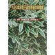 ABO血液型不適合移植の新戦略〈2003〉 [単行本]