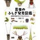 昆虫のふしぎ発見図鑑―近所の虫のすごさコレクション [単行本]