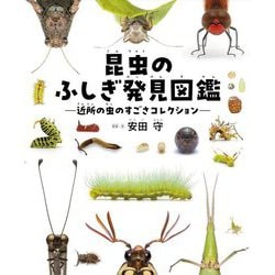 昆虫のふしぎ発見図鑑―近所の虫のすごさコレクション [単行本]