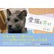 愛猫と共に [単行本]
