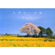 九州の一本桜―春を謳う [単行本]