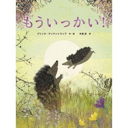 もういっかい! [絵本]