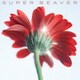 SUPER BEAVER／片想い/涙の正体
