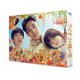 ライオンの隠れ家 DVD-BOX [DVD]