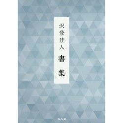 沢登佳人書集 [単行本]