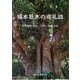 福木巨木の巡礼誌 [単行本]