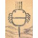 歴史の中のカブトガニ―古文書でたどるカブトガニ [単行本]
