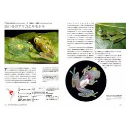 ヨドバシ.com - カエル大全―FROGS OF THE WORLD [図鑑] 通販