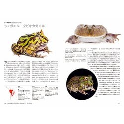 ヨドバシ.com - カエル大全―FROGS OF THE WORLD [図鑑] 通販