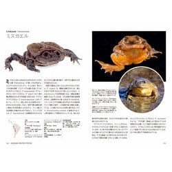 ヨドバシ.com - カエル大全―FROGS OF THE WORLD [図鑑] 通販