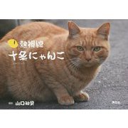 熱視線 十条にゃんこ [単行本]