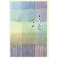 歌集 ざあざあ川（塔21世紀叢書） [単行本]