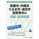 那覇市・沖縄市・うるま市・浦添市・宜野湾市の初級・高卒程度〈2020年度〉（沖縄県の公務員試験対策シリーズ） [単行本]