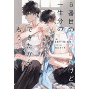 6番目のセフレだけど一生分の思い出ができたからもう充分(&arche NOVELS) [単行本]