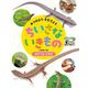 みつけよう・そだてよう ちいさないきもの カナヘビ・トカゲ [全集叢書]