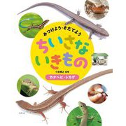 みつけよう・そだてよう ちいさないきもの カナヘビ・トカゲ [全集叢書]