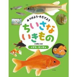 みつけよう・そだてようちいさないきもの メダカ・キンギョ [全集叢書]