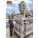 季刊民族学191　特集　大阪：野生の都市 [ムックその他]