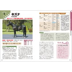 ヨドバシ.com - 種牡馬最強データ〈'25～'26〉 [単行本] 通販