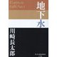 地下水(P+D BOOKS) [単行本]
