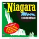 大滝詠一／NIAGARA MOON 50th Anniversary Edition [アナログディスク]