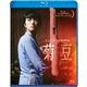 菊豆 チュイトウ [Blu-ray Disc]
