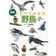 くらべてわかる野鳥―識別ポイントで見分ける 新版 [単行本]