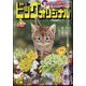 ビッグコミックオリジナル増刊 2025年 3/12号 [雑誌]