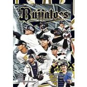 オリックス・バファローズ　ザ　パーフェクトガイド2025 [単行本]