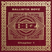 Chapter 1