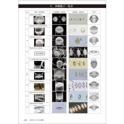 日本産　キートケロス図鑑 地球で最もＣＯ２を吸っているのは誰だ！？／プラントビオ(著者),今井一郎(監修) 日本産 キ－トケロス図鑑 / プラントビオ【著】/石井 健一郎