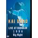 甲斐バンド／Big Night -KAI BAND LIVE AT BUDOKAN 1996- [DVD]