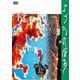 RCサクセション／コブラの悩み -COBRA IN TROUBLE- [DVD]