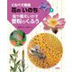 くらべて発見 花の「いのち」〈2〉虫や風をいかす受粉のくふう [単行本]