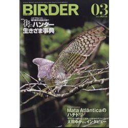 BIRDER (バーダー) 2025年 03月号 [雑誌]