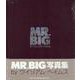 MR.BIG写真集 [単行本]