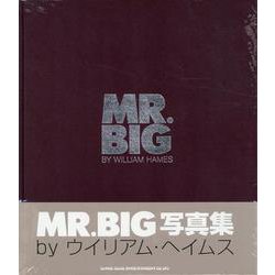 MR.BIG写真集 [単行本]