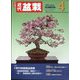 近代盆栽 2025年 04月号 [雑誌]