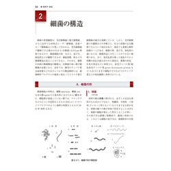 裁断済　戸田新細菌学　改訂35版 ヨドバシ.com - 戸田新細菌学 改訂35版 [単行本] 通販【全品無料
