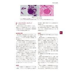 裁断済　戸田新細菌学　改訂35版 ヨドバシ.com - 戸田新細菌学 改訂35版 [単行本] 通販【全品無料
