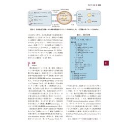 裁断済　戸田新細菌学　改訂35版 裁断済 戸田新細菌学 改訂35版