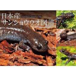 日本産サンショウウオ図譜 [単行本]